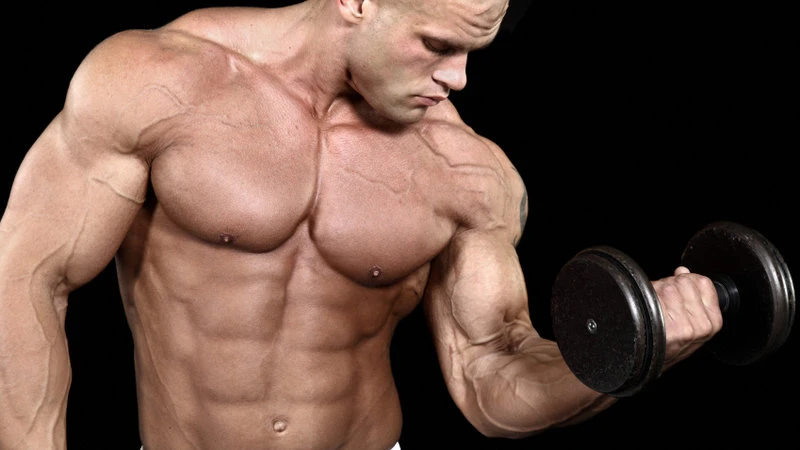 Plus Muscle à Castellbisbal